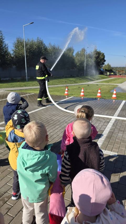 Zdjęcie 7