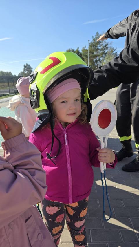 Zdjęcie 24